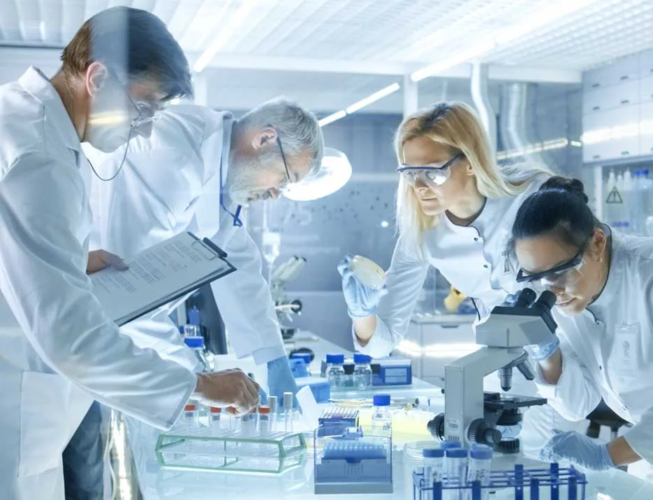 Laboratory work with hyaluronic acid
